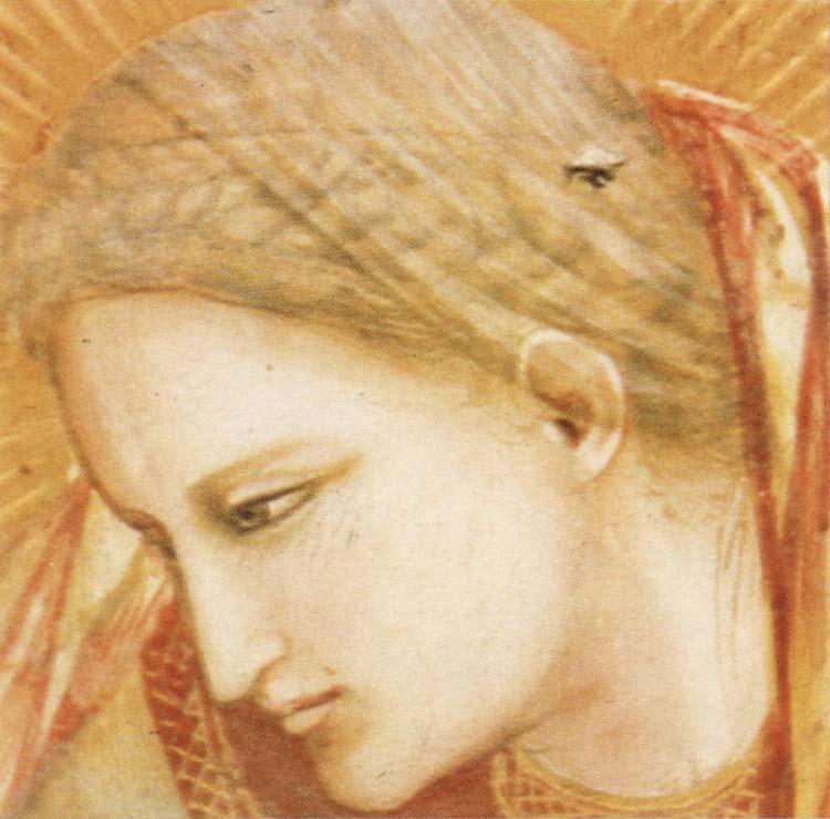 GIOTTO di Bondone Detail of Birth of Christ